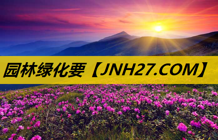 园林绿化要